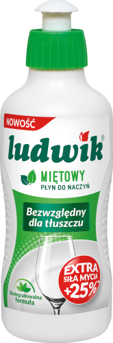 Ludwik Płyn do naczyń miętowy 250 g