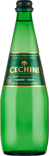 Cechini Muszyna Naturalna woda mineralna wysokozmineralizowana średnionasycona CO₂ 0,7 l