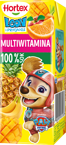 Hortex Leon i Przyjaciele Sok 100 % multiwitamina 200 ml