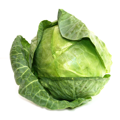 KAPUSTA BIAŁA KG