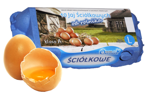 JAJA ŚCIÓŁKOWE L-10