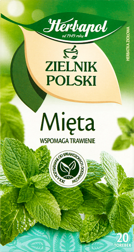 Herbapol Zielnik Polski Herbatka ziołowa mięta 40 g (20 x 2 g)